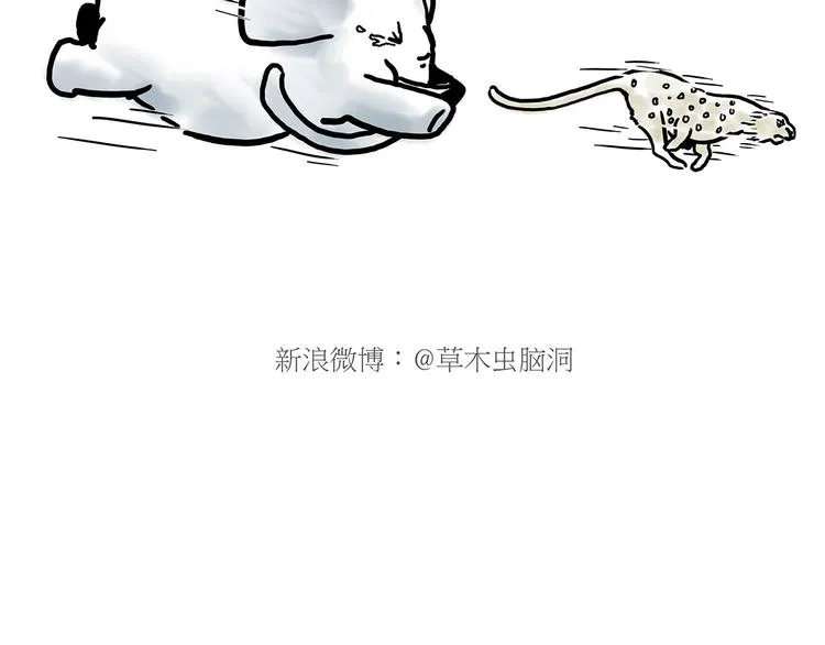 舞狮迎新年 第7页