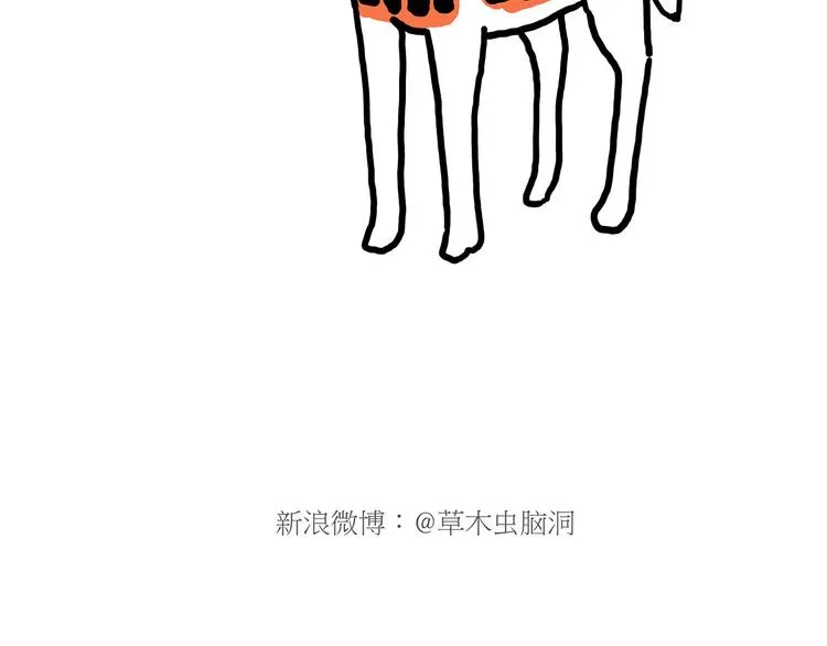 舞狮迎新年 第23页