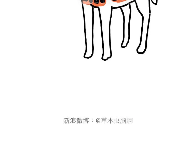 舞狮迎新年 第30页