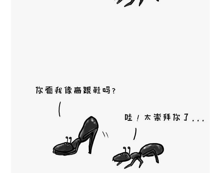 看演唱会 第24页