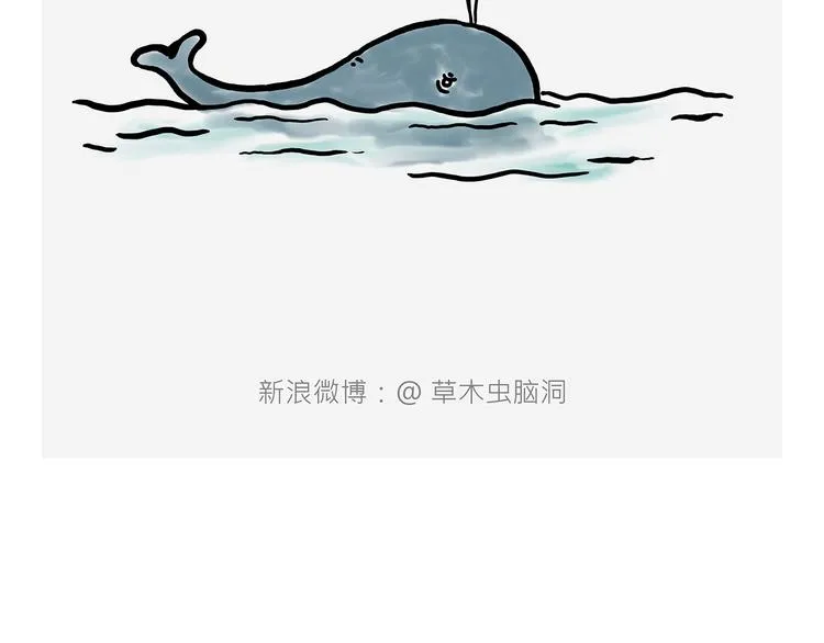 观光电梯 第34页