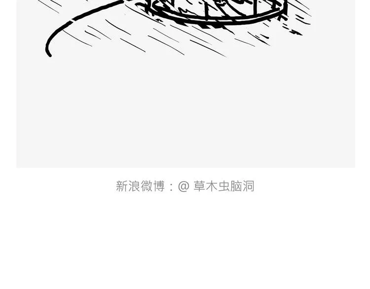 素面朝天 第33页