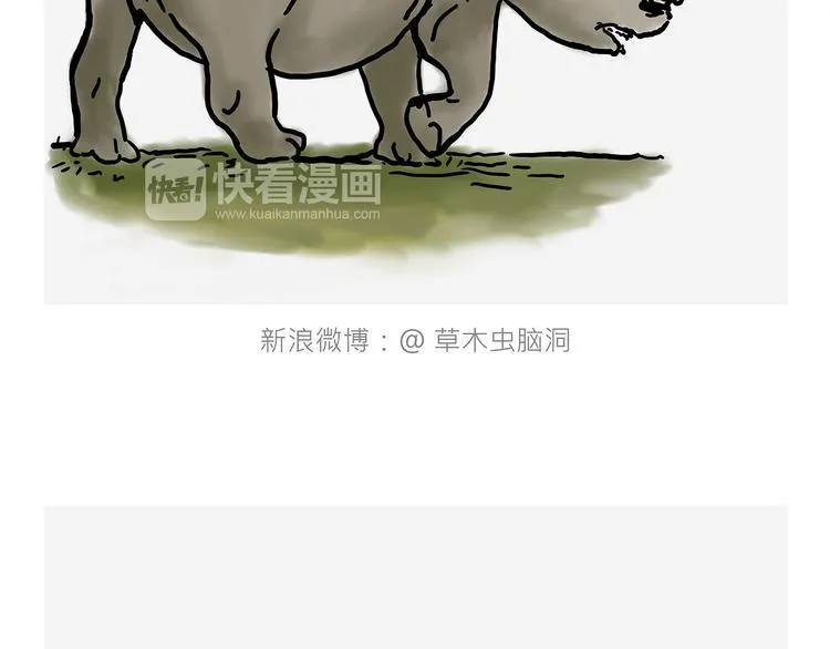 测速抓拍 第4页
