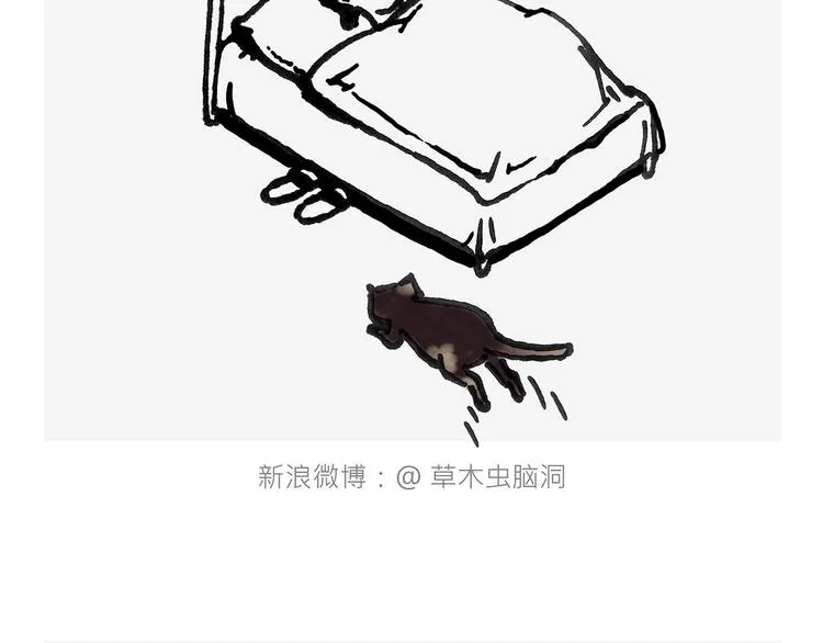 抢被子 第14页