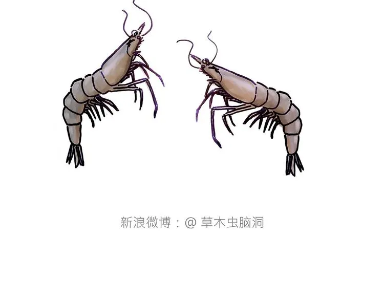 抢被子 第30页