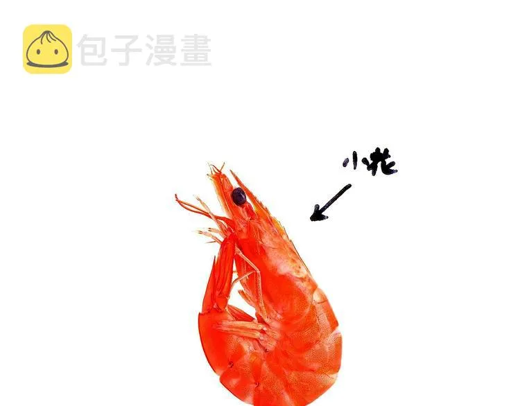 抢被子 第31页