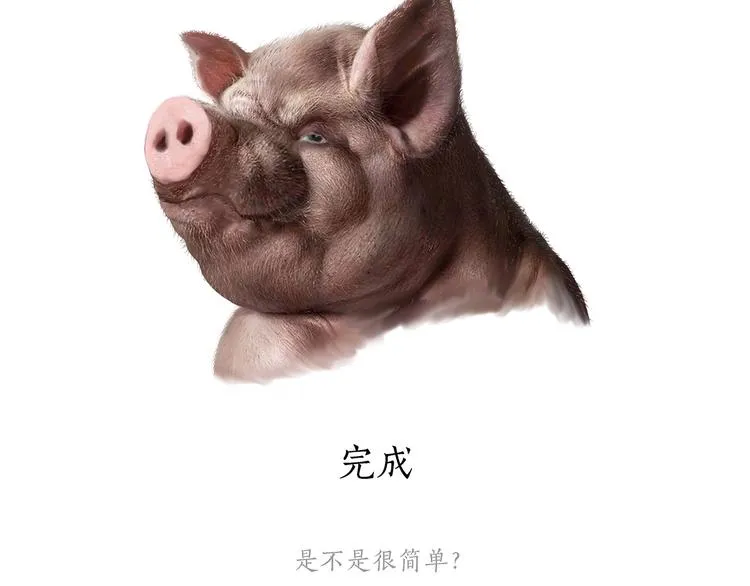 草木虫画画课堂 第11页