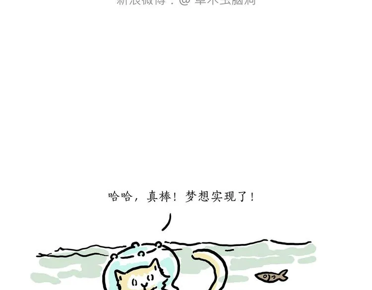加长版宝马 第29页