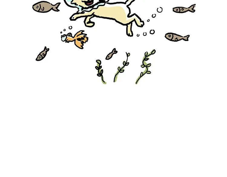 加长版宝马 第30页