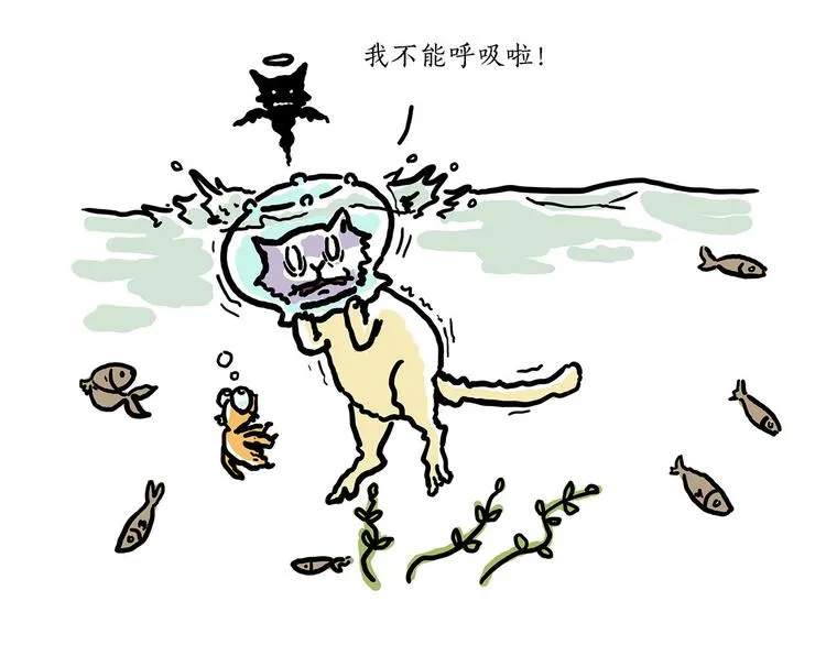 加长版宝马 第31页