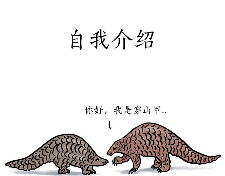 保护八戒 第3页