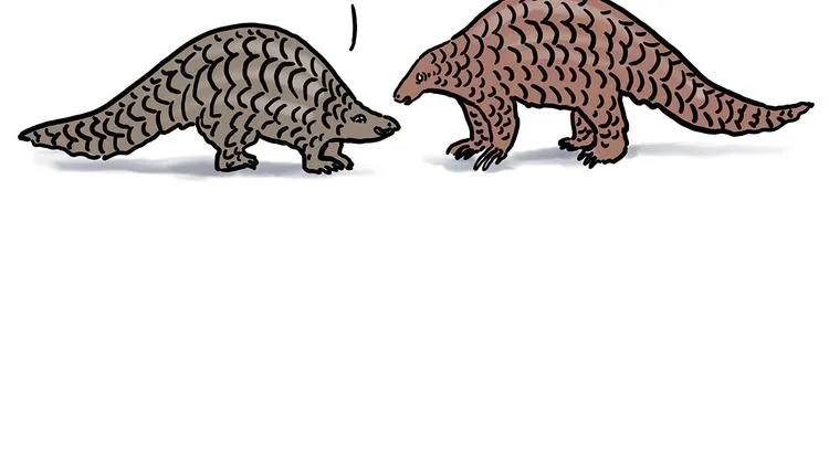保护八戒 第5页