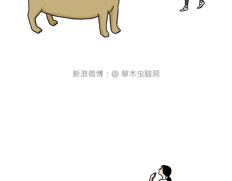 夏夜驱蚊 第19页
