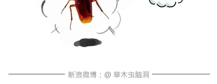 拳击私教 第7页