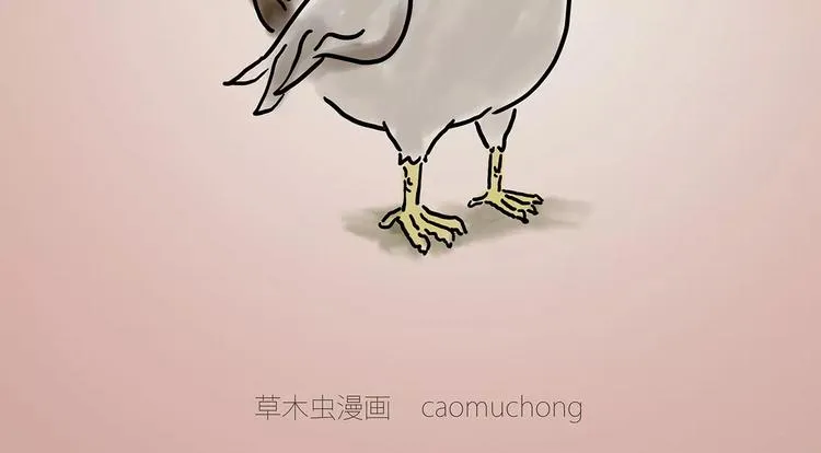 烹饪师傅 第9页