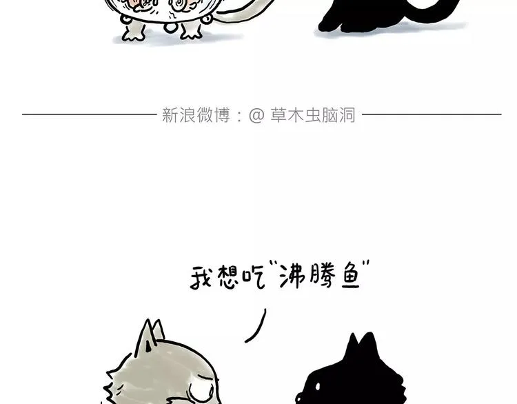 鸵鸟的秘密 第4页