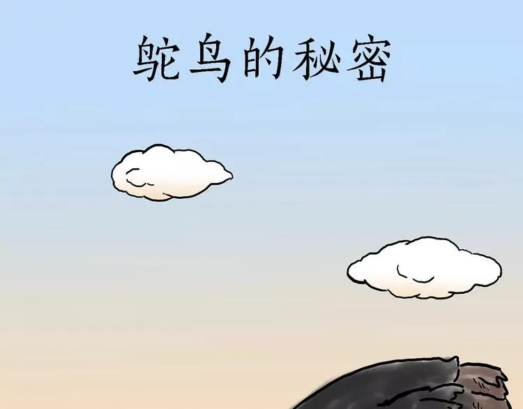 鸵鸟的秘密 第16页