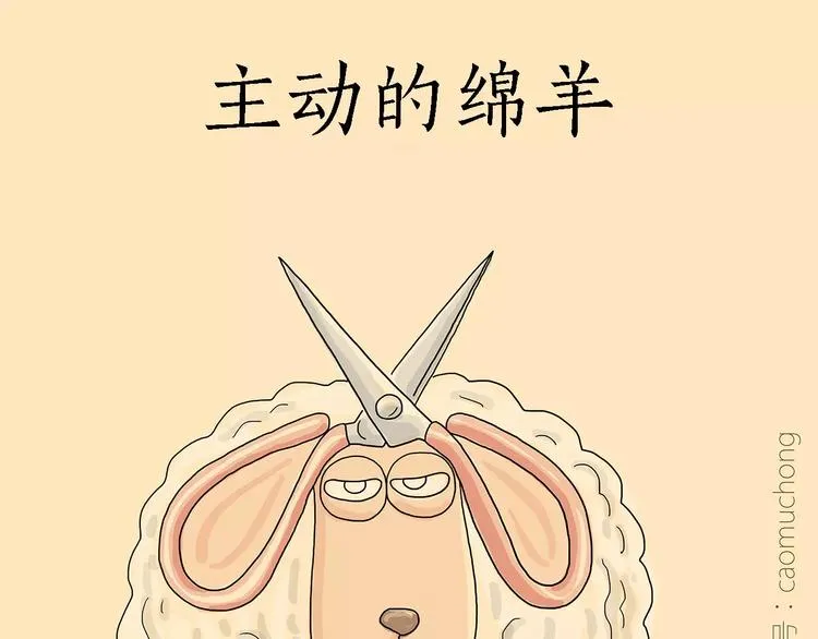 职场宫斗 第13页
