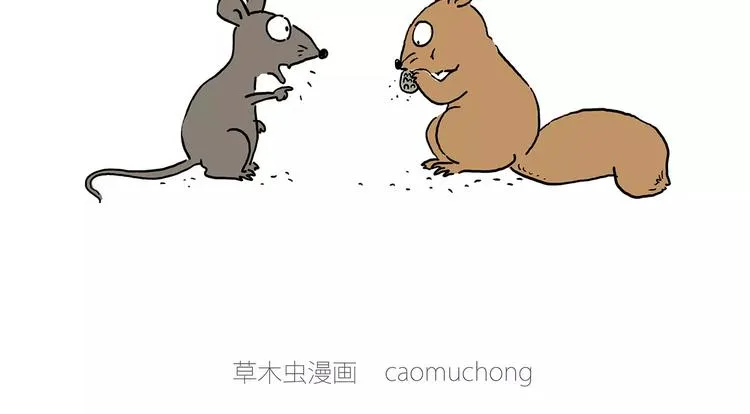 白龙马度假 第11页