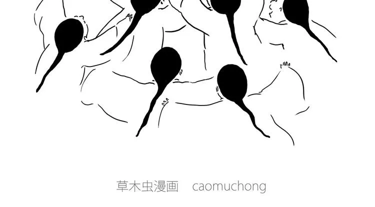 白龙马度假 第17页