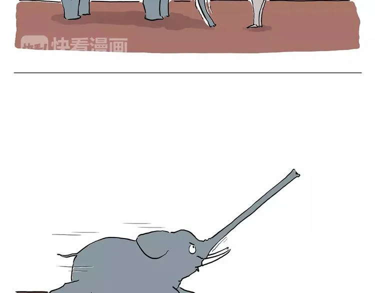 白龙马度假 第19页