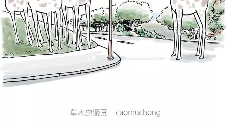 骚气的头箍 第13页