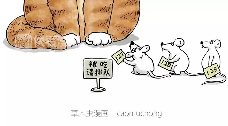 被吃请排队 第13页