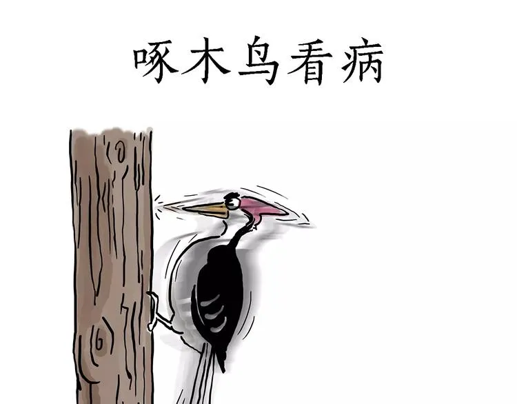 啄木鸟看病 第3页