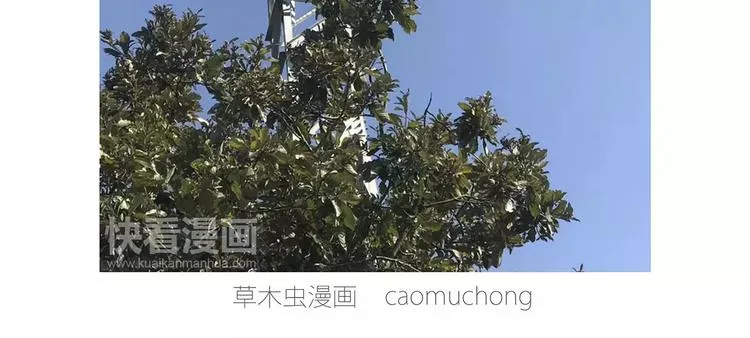 企鹅搬便画 第13页