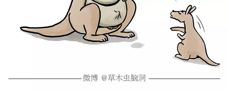 斗牛 第5页