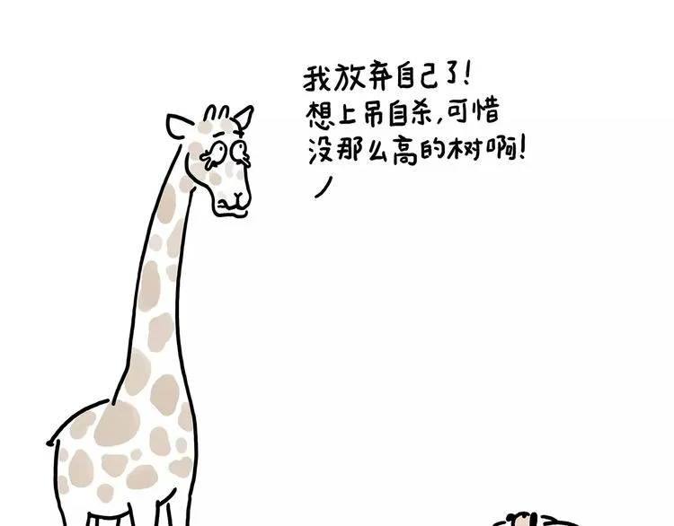 房租 第5页