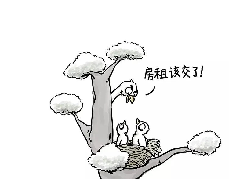 房租 第13页
