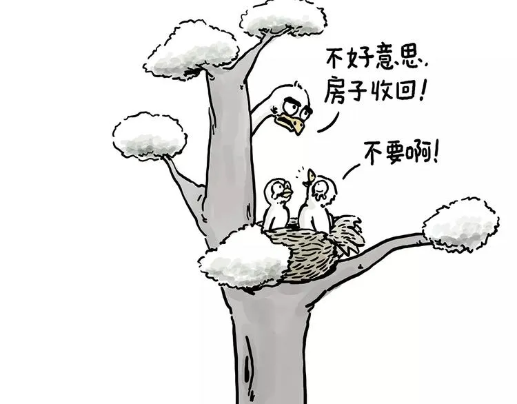 房租 第16页