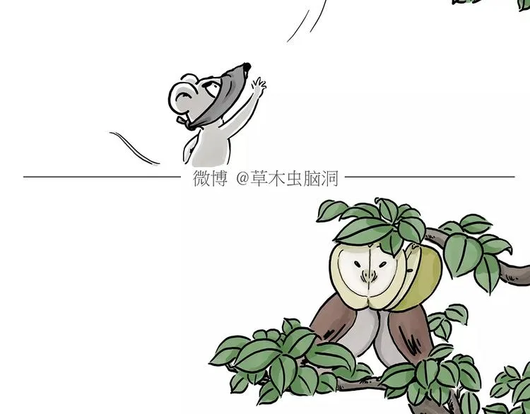 第152话 苹果鸟？？？ 第26页