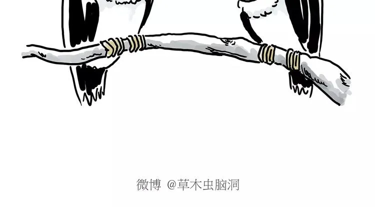 第151话 药不能停 第19页