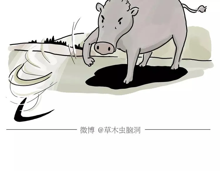 第157话 洗羊说明书 第28页