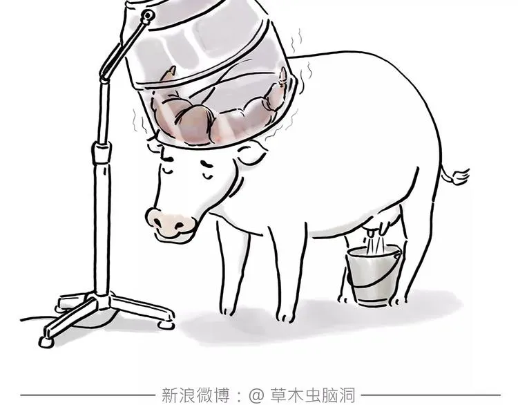 第165话 暖暖的熊 第5页