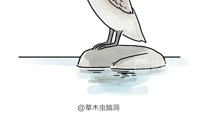 第176话 筋斗云加油 第12页