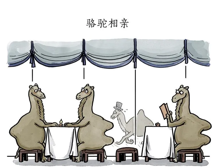 第187话 骆驼相亲 第15页
