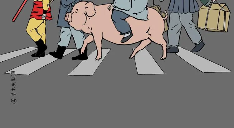 第224话 我不是乌鸦 第2页