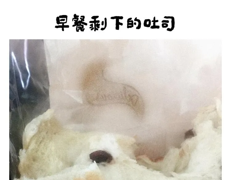 第248话 剑龙接孩子 第22页