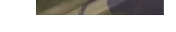 第313话 如何把自己拍成八戒 第3页