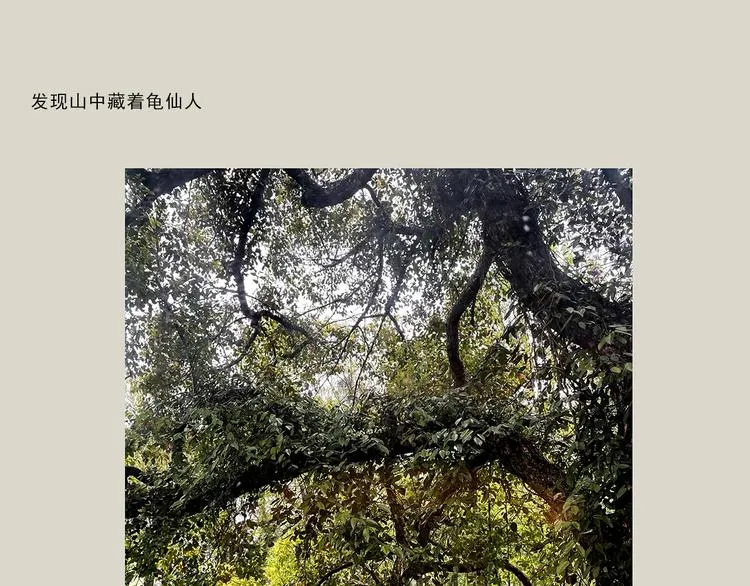 第323话 香蕉认错女朋友 第7页