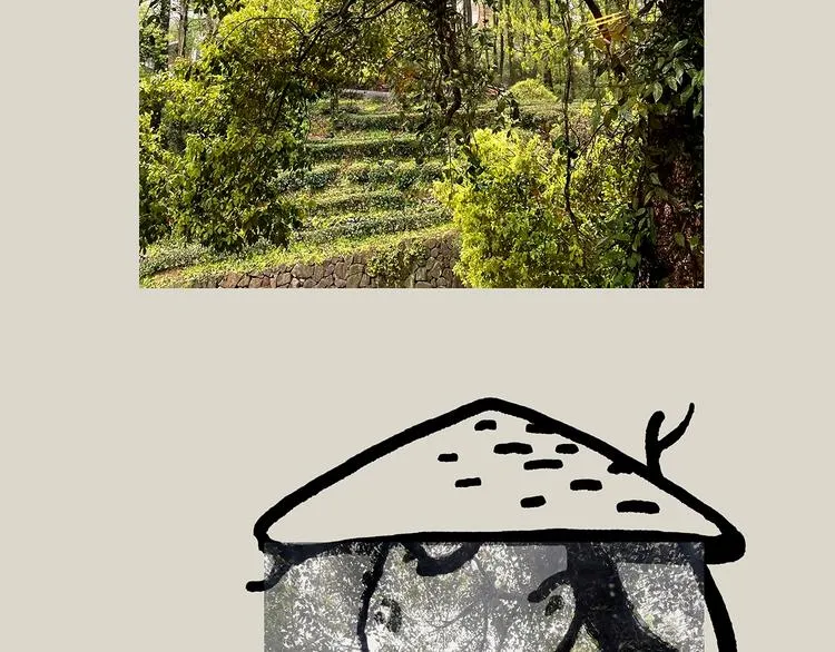 第323话 香蕉认错女朋友 第8页
