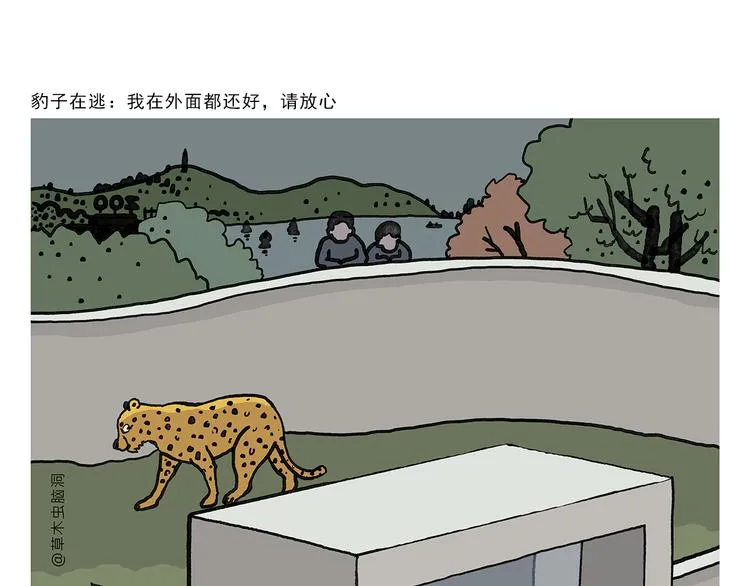 第329话 豹子在逃 第1页