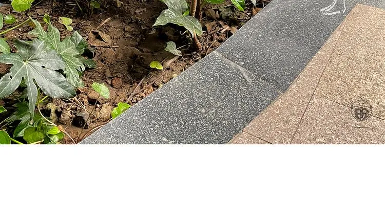 第335话 耳朵大显脸小吗？ 第14页
