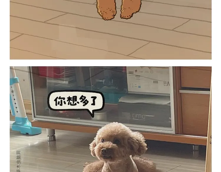 第344话 拼音梗 第18页