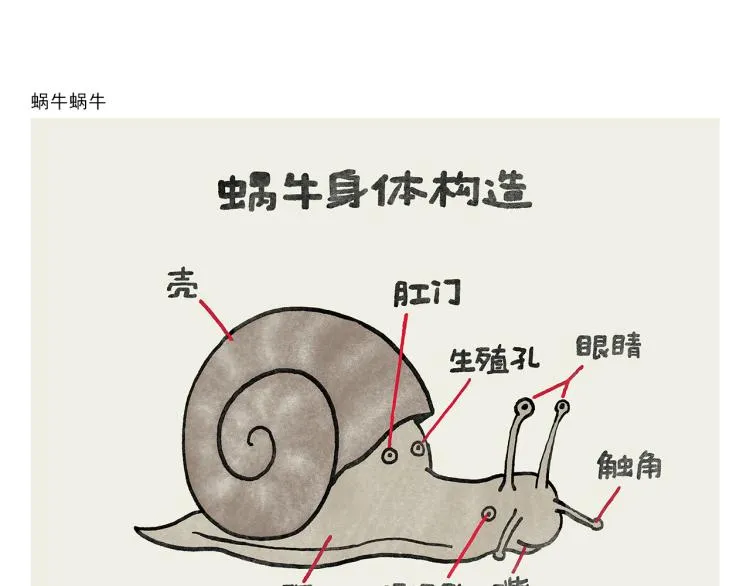 第346话 脸上掉下个取经人 第13页