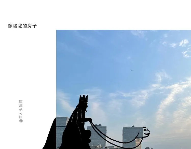 第346话 脸上掉下个取经人 第17页