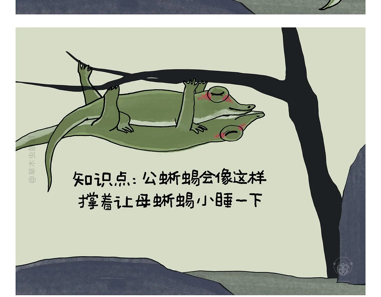 第394话 一路跟拍 第5页